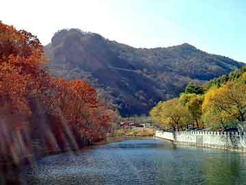 怎么用代碼定位手機(jī)號(hào)碼（怎么用代碼定位手機(jī)號(hào)碼呢）